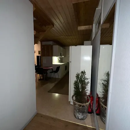 Apartamento Fin Og Sentralt For En Stor Familie